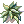 Tiara de Samambaia [1]
