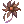 Withered_Flower