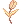 Gold_Tulip
