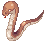 G_ANACONDAQ